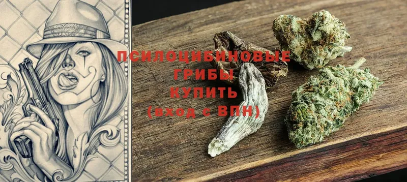 купить  сайты  Ижевск  Галлюциногенные грибы Psilocybe 